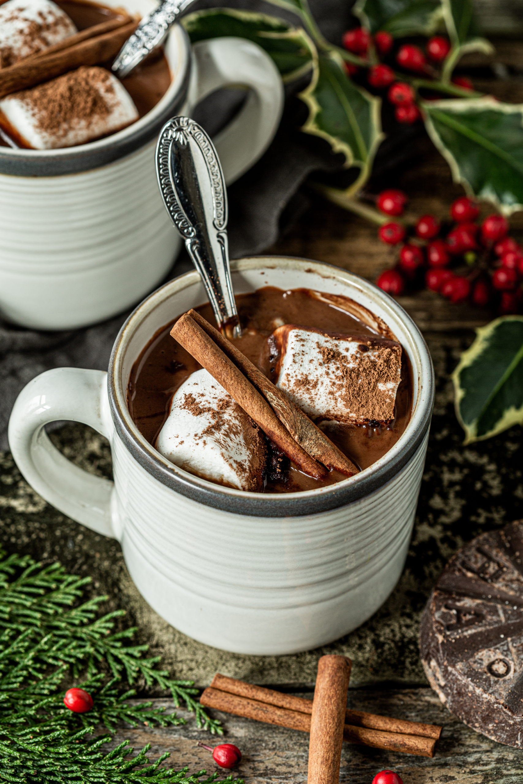Hot Chocolate with maca and tonic herbs