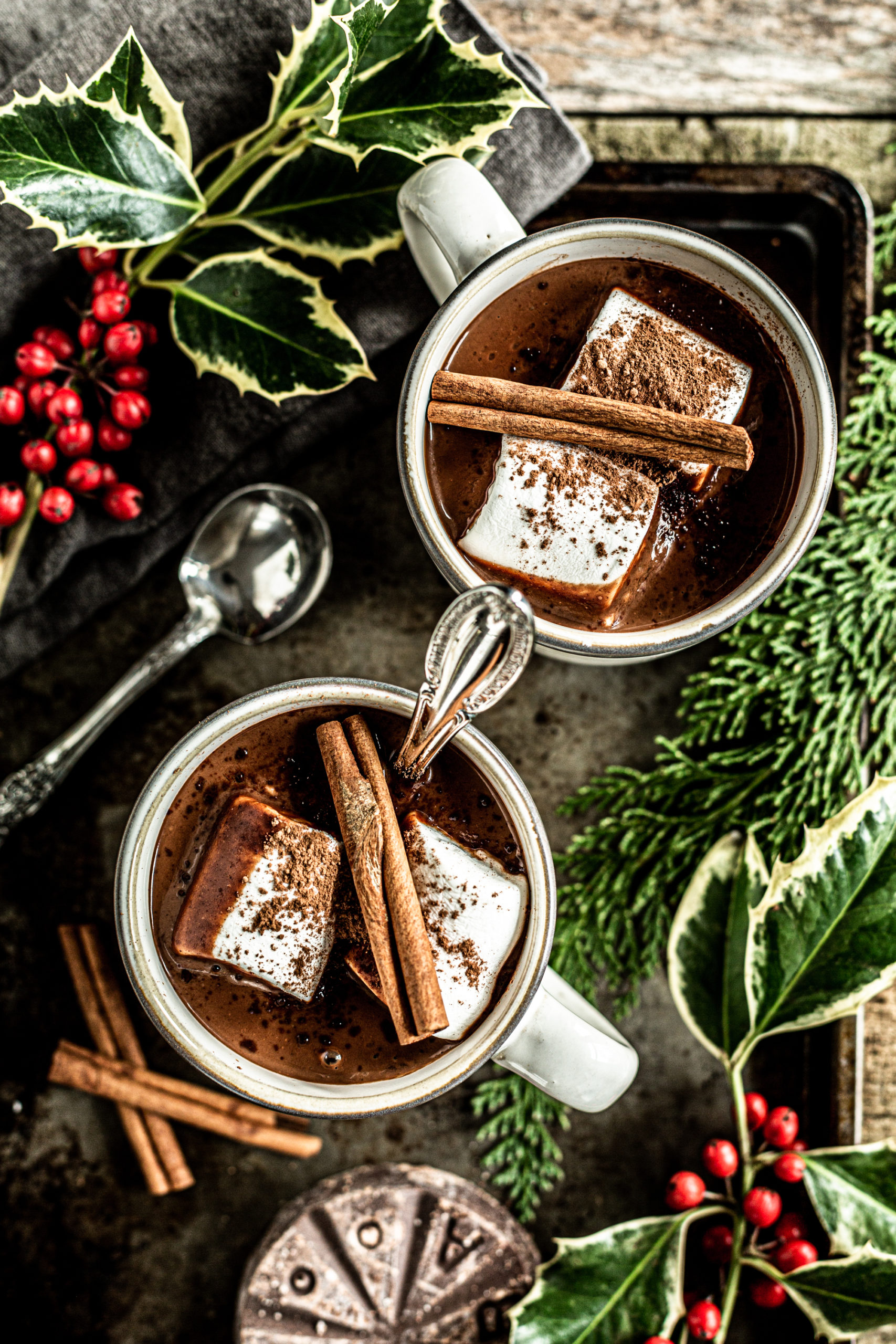 Hot Chocolate with maca and tonic herbs